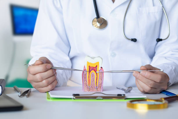 Best Emergency Root Canal Therapy in Grand Haven, MI
